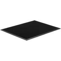 Tapis Gritstop Fingermat, Caoutchouc, Grattoir Type, Motif Textur&eacute;, 2' x 2-2/3', Noir Sidevic Inc.