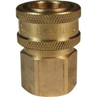 DQC E-Series Straight-Through Interchange Coupler, Brass, 3/4", Female NPTF, 1700 PSI Sidevic Inc.