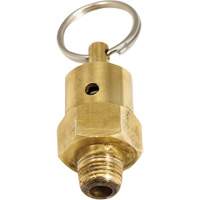 Viton&reg; Pressure Relief Valve Sidevic Inc.