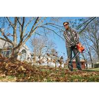 3-in-1 VacPack Leaf Blower/Vacuum/Mulcher, 250 MPH Output, Electric Sidevic Inc.