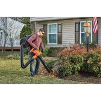 3-in-1 VacPack Leaf Blower/Vacuum/Mulcher, 250 MPH Output, Electric Sidevic Inc.