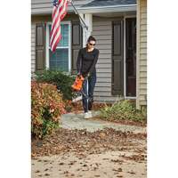 3-in-1 VacPack Leaf Blower/Vacuum/Mulcher, 250 MPH Output, Electric Sidevic Inc.