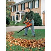 Leaf Blower/Vacuum/Mulcher, 210 MPH Output, Electric Sidevic Inc.