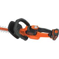 Ensemble de taille-haie sans fil Max* PowerCut, 22", 20 V, &agrave; pile Sidevic Inc.