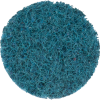 Disque de conditionnement de surface Scotch-Brite Roloc, 1" dia. Sidevic Inc.