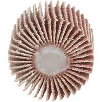 Flap Disc 747D, Aluminum Oxide/Ceramic, 80 Grit, 1" x 1" x 1/4" Sidevic Inc.