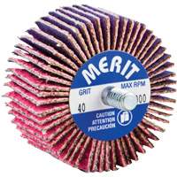 Threaded Mini Flap Wheel, Ceramic Alumina, 40 Grit, 2" x 1" x 1/4"-20 Sidevic Inc.