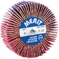 Threaded Mini Flap Wheel, Ceramic Alumina, 40 Grit, 3" x 1" x 1/4"-20 Sidevic Inc.