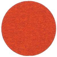 Blaze R980P Quick-Change Cloth Disc, 2" Dia., 60 Grit, Ceramic Alumina Sidevic Inc.