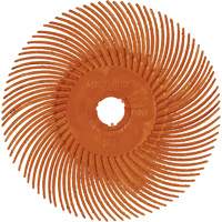 Abrasive Bristle Discs