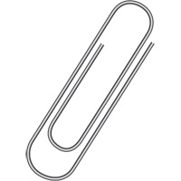 Paper Clips Sidevic Inc.