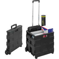 Organizational Supplies