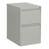 Classeur vertical, Acier, 2 tiroirs, 18-1/7" la x 25" p x 29" h, Gris Sidevic Inc.