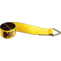 Winch Straps, Delta Ring, 4" W x 30' L, 5400 lbs. (2450 kg) Working Load Limit Sidevic Inc.