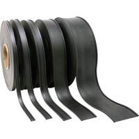 Card Holder, Magnetic, 600" L x 2" W Sidevic Inc.
