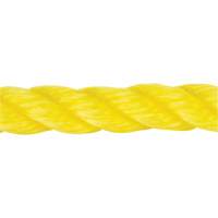Braided Yellow Rope, Polypropylene, 144' Sidevic Inc.