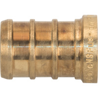 Lead-Free Pipe Plug, Pipe, 1/2" Dia., Brass Sidevic Inc.