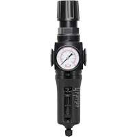 Filtre/r&eacute;gulateur drain manuel avec bol en m&eacute;tal Modulair 300, 1/4" NPT, 250 PSI, Capacit&eacute; de 5,1 oz liq. Sidevic Inc.