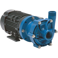Magnetic Drive Pump with Carbon Bushing Sidevic Inc.