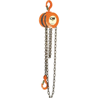 Chain Hoist, 10' Lift, 1000 lbs. (0.5 tons) Capacity, Steel Chain Sidevic Inc.