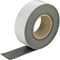 Write-On Magnetic Tags, Magnetic, 600" L x 2" W Sidevic Inc.