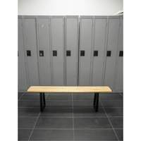 Banc pour vestiaire, Bois, 48" lo x 9-1/2" la x 16-1/2" h Sidevic Inc.