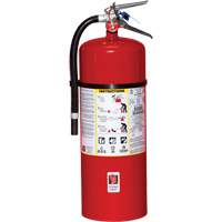 Fire Extinguisher, ABC, 20 lbs. Capacity Sidevic Inc.