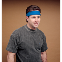 ALLEGRO INDUSTRIES Standard Cooling Wrap, Blue Sidevic Inc.