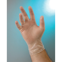 Examination Grade Gloves, Small, Vinyl, 4-mil, Powder-Free, Clear, Class 2 Sidevic Inc.