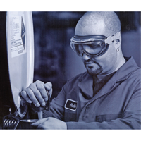 Uvex&reg; Flex Seal Safety Goggles, 3.0 Lens, Anti-Fog, Indirect Vent Sidevic Inc.