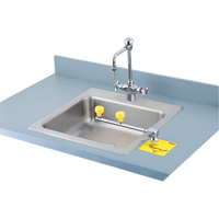 Swing-Away Eyewash Station, Counter-Mount Installation Sidevic Inc.