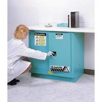 ChemCor&reg; Lined Acid/Corrosive Storage Cabinets, 22 gal., 35" x 35" x 22" Sidevic Inc.