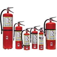 Fire Extinguisher, ABC, 30 lbs. Capacity Sidevic Inc.