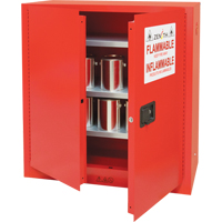 Armoire pour peintures et encres, 45 gal., 3 tablettes Sidevic Inc.