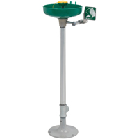 Axion&reg; Eye/Face Wash Station, Pedestal Installation, Plastic Bowl Sidevic Inc.