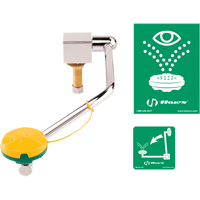 Eye/Face Wash Station, Sink Mount Installation Sidevic Inc.