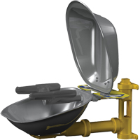 Halo Face/Eyewash Stations, Wall-Mount Installation, Stainless Steel Bowl Sidevic Inc.