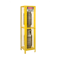 Armoires pour cylindres &agrave; gaz, nbre de bouteilles: 2, 17" , 17" , 69" , Jaune Sidevic Inc.