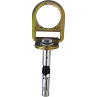 PRO Concrete D-ring Anchor with Bolt, Concrete/D-Ring, Permanent Use Sidevic Inc.