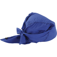 Chill-Its&reg; 6710CT Cooling Triangle Hats, Blue Sidevic Inc.