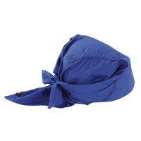 Chill-Its&reg; 6710 Cooling Triangle Hats, Blue Sidevic Inc.