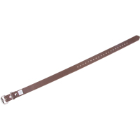 Leg Straps Sidevic Inc.