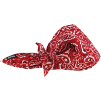 Chill-Its&reg; 6710CT Cooling Triangle Hats, Red Sidevic Inc.