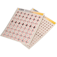 Assortiment d'&eacute;tiquettes avec pictogrammes sgh, Vinyle, Feuille, 1" lo x 1" la Sidevic Inc.