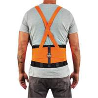 ProFlex 100HV Economy Spandex Hi-Vis Back Support Brace, Elastic, Small Sidevic Inc.