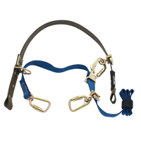 Cynch-Lok Web Pole Climbing Device Sidevic Inc.