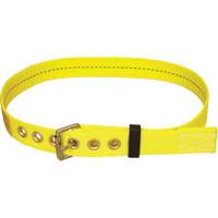 Ceinture avec boucle &agrave; ardillon Delta Sidevic Inc.