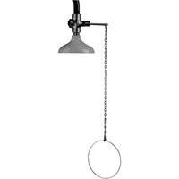 Lifesaver&reg; Emergency Overhead Showers, Ceiling-Mount Sidevic Inc.