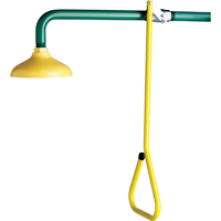 Lifesaver&reg; Emergency Overhead Showers, Wall-Mount Sidevic Inc.