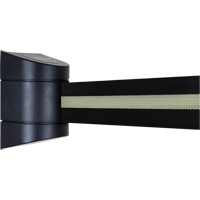 Unit&eacute;s murales Tensabarrier, Plastique, Fixation par vis, 15', Ruban Noir Sidevic Inc.